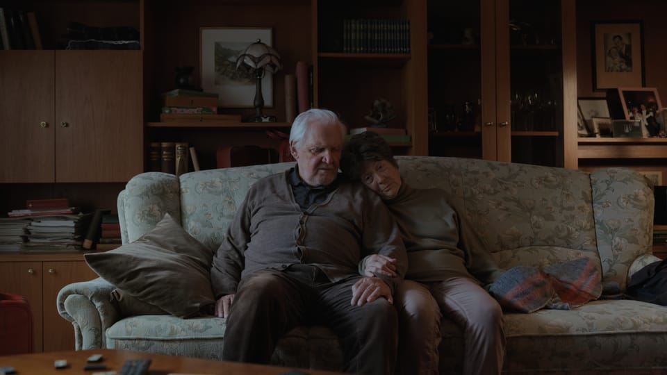 Gesehen: Die letzte Wette (2024) - Lauerndes Missbehagen